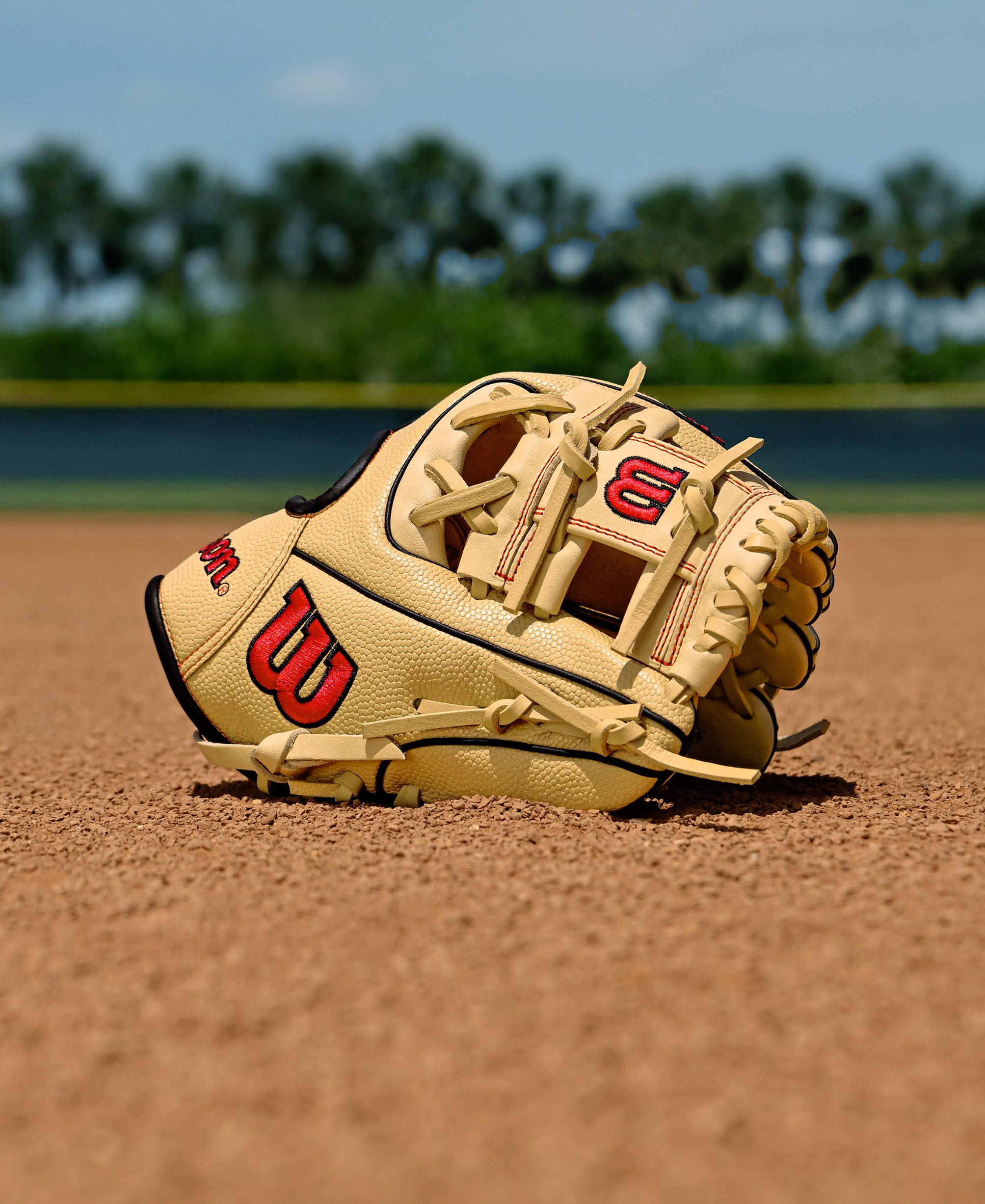 Wilson A1000 PF11 Pedroia Fit 11" Baseball Infield Glove with SuperSkin - Image 2